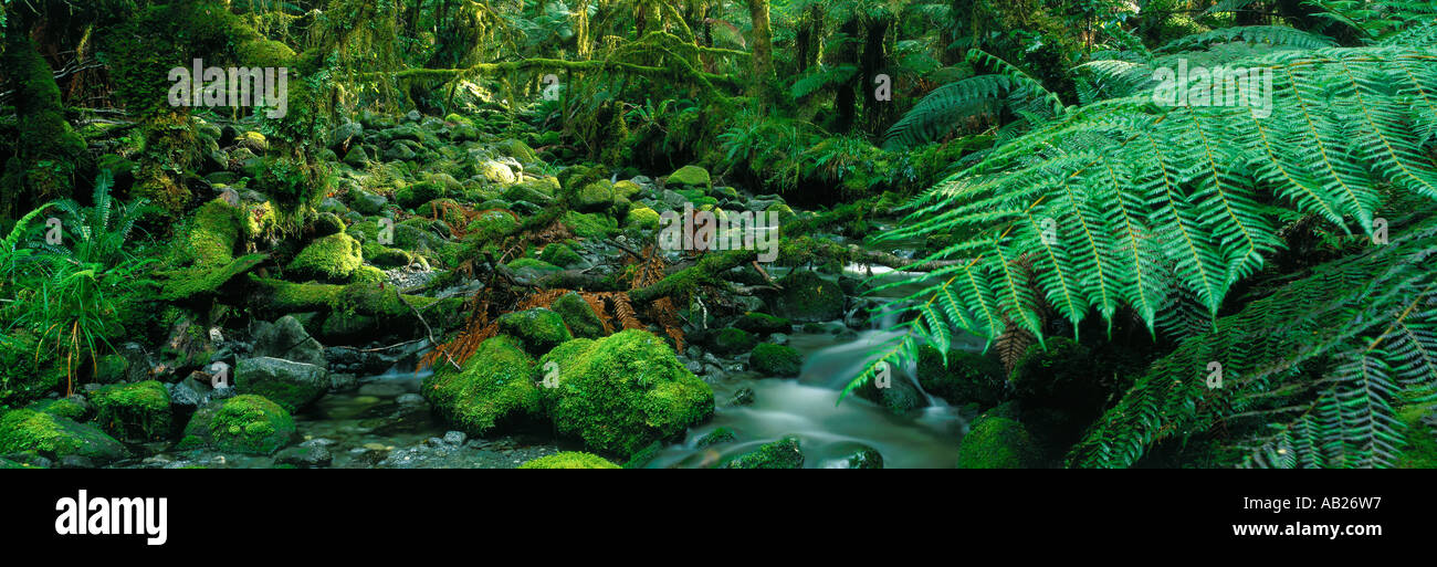 Ecosistemas templados fotografías e imágenes de alta resolución Alamy