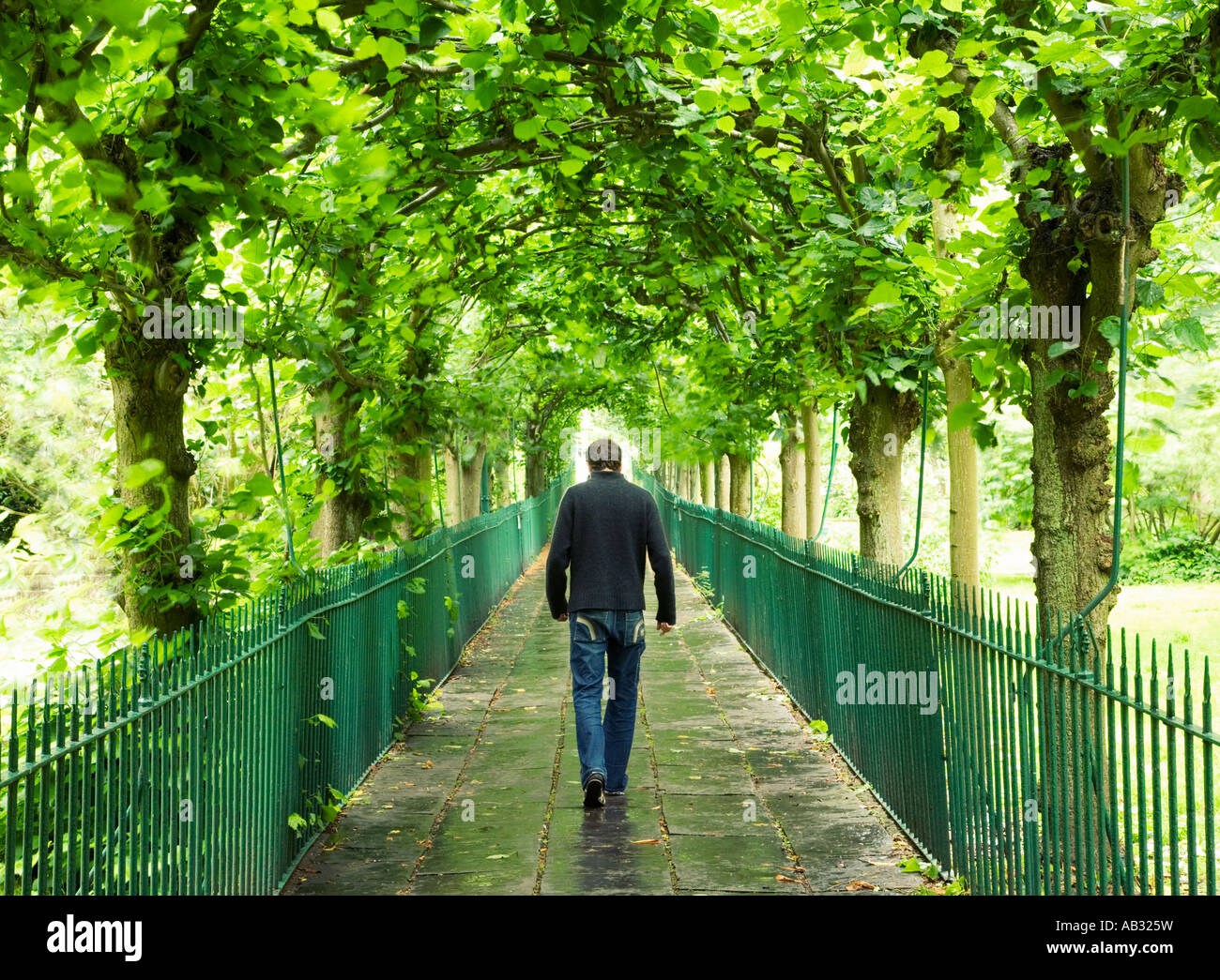 Hombre 25 30 caminando por el paseo arbolado en forma de jaula, Clifton Bristol Inglaterra Foto de stock