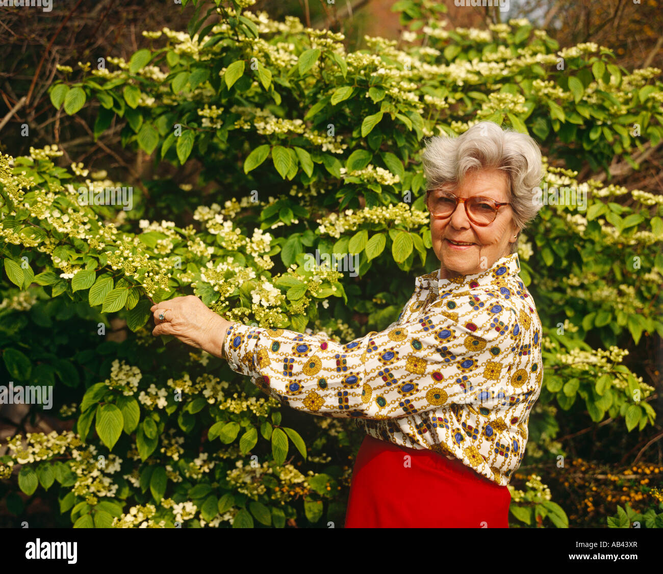 Dama senior en el jardín Foto de stock