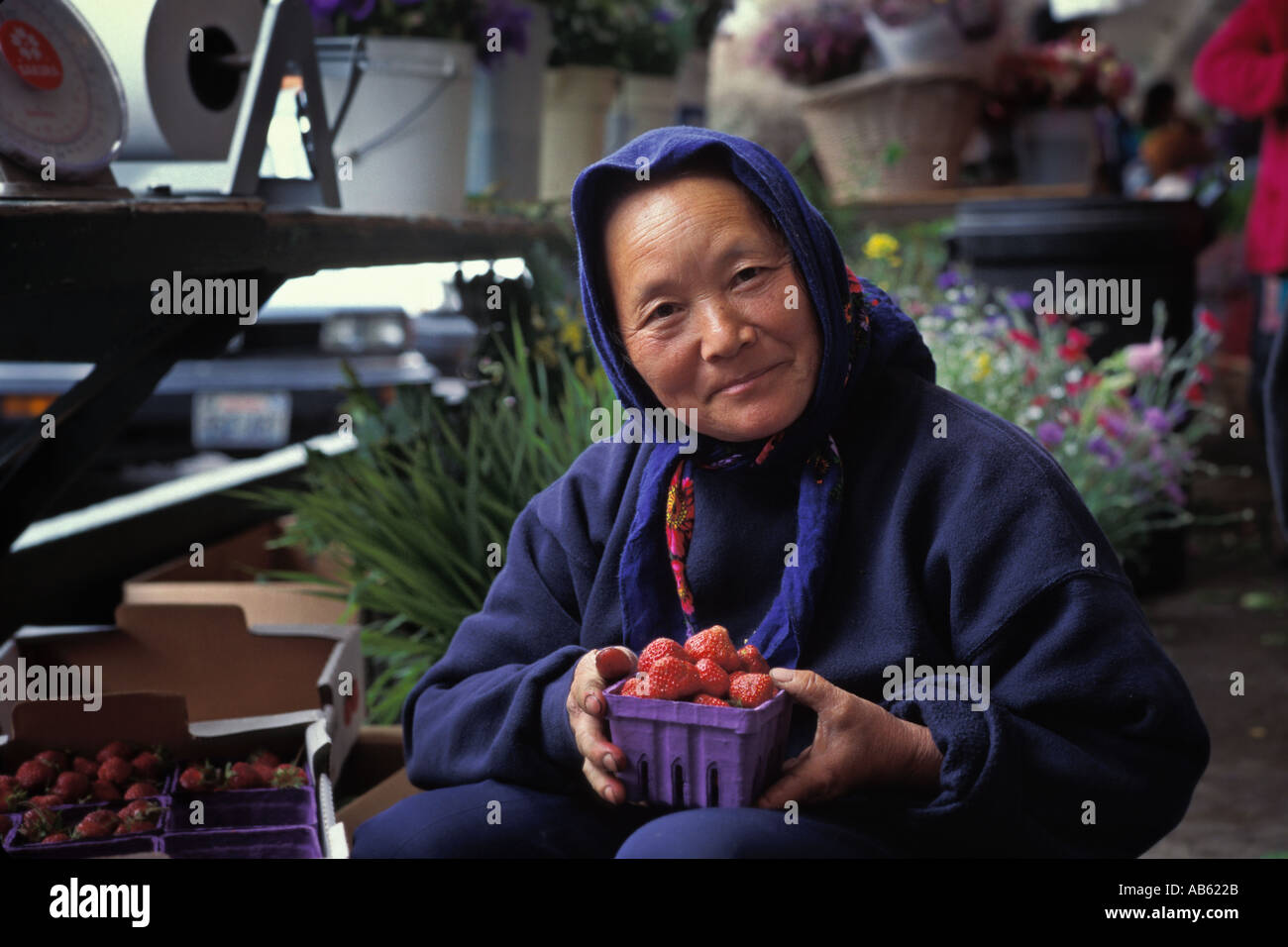 Mujer Hmong Laotion ordena prepara fresas frescas cultivadas en granjas familiares para la venta en la explotación del Mercado Pike Place Seattl Tabla Foto de stock