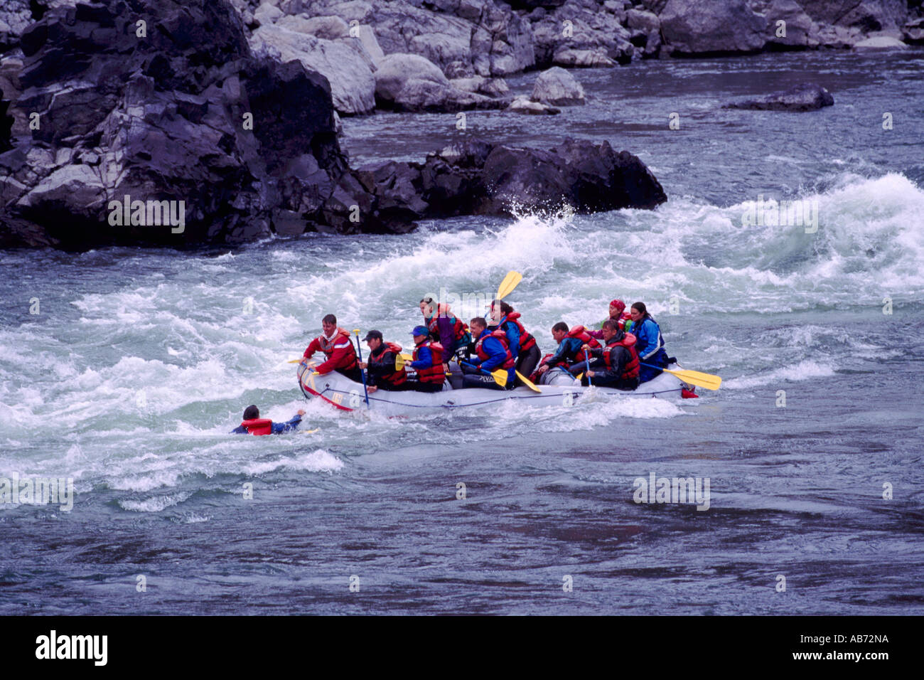 Cerca del Río Thompson Lytton, BC, British Columbia, Canadá - El hombre por la borda en White Water Rafting / accidente Foto de stock