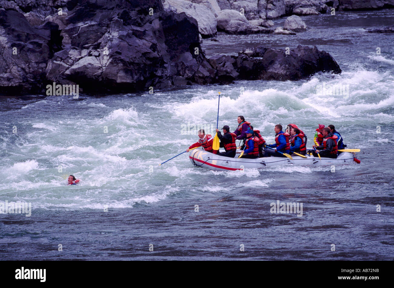 Cerca del Río Thompson Lytton, BC, British Columbia, Canadá - El hombre por la borda en White Water Rafting / accidente Foto de stock
