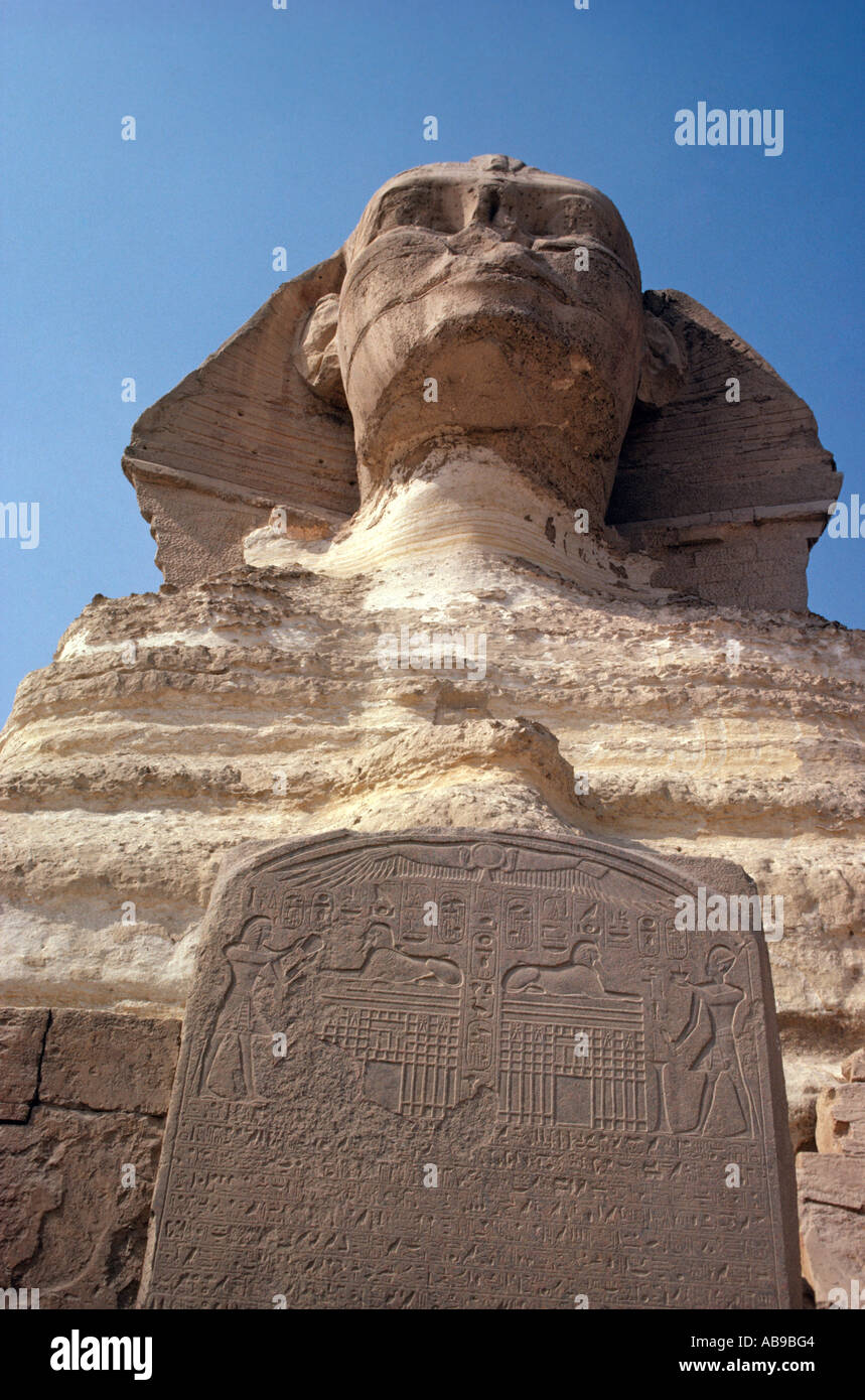 Egipto. El Cairo. Giza. La Esfinge de Giza con la inscripción en la parte delantera. Ángulo inusual. Foto de stock
