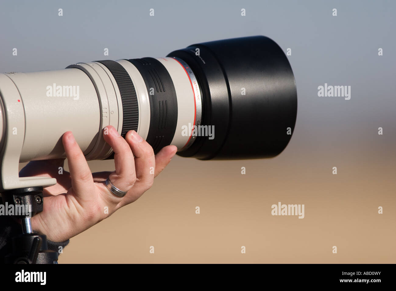 Un fotógrafo es un teleobjetivo Canon 100-400l Fotografía de stock - Alamy