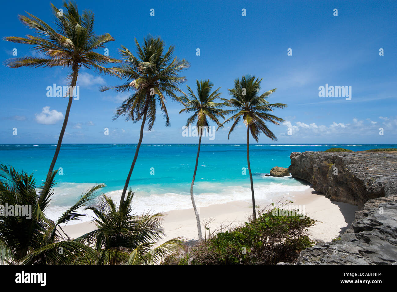 Parte inferior Bay Beach, Costa Sureste, Barbados, Antillas Menores, Las Antillas, Caribe Foto de stock