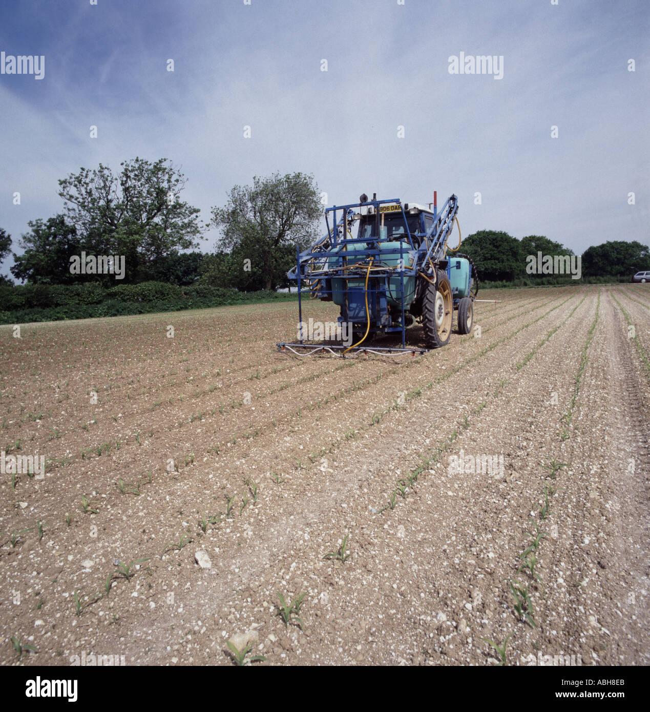 Ford Tractor con banda de pulverizador rociando cultivos modificados sólo  para restringir el uso de herbicidas para que el cultivo de cobertura puede  ser crecido entre Fotografía de stock - Alamy