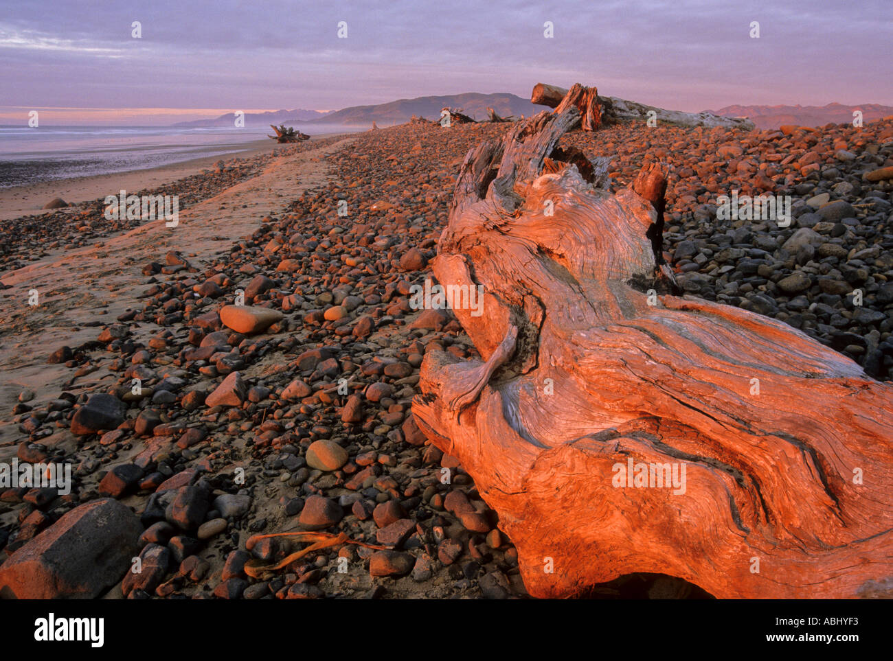 Driftwood al atardecer en la playa en Cape Meares Oregón EE.UU. Foto de stock