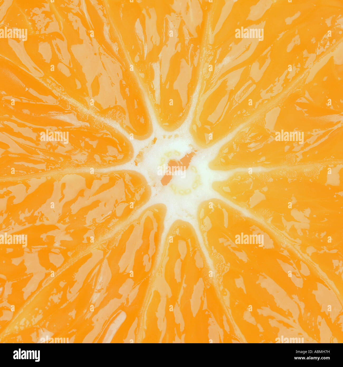 Macro Fotografía de una rodaja de naranja formato cuadrado Foto de stock
