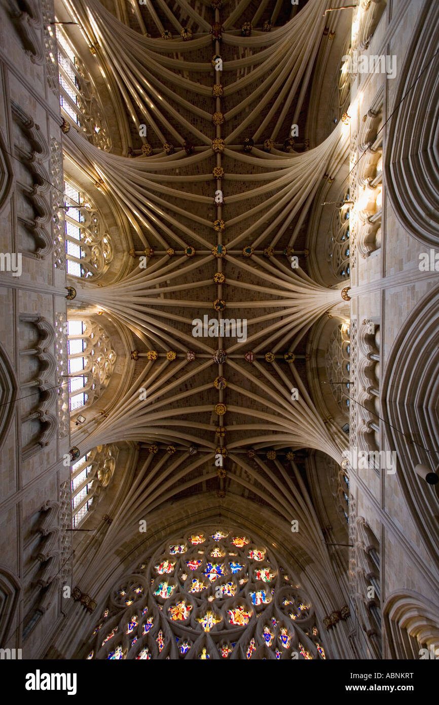 Interior de la Catedral de Exeter con techo abovedado Devon al suroeste de Inglaterra, Gran Bretaña GB Reino Unido Islas Británicas Europa Foto de stock