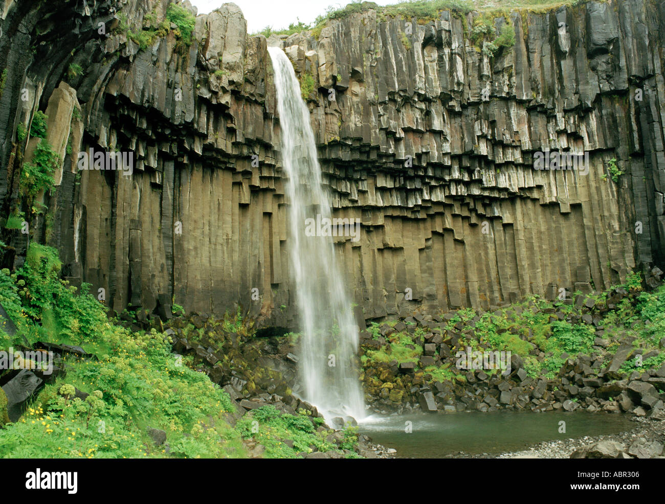 Svartifoss cae en la Catedral - como rocas basálticas, Islandia Foto de stock