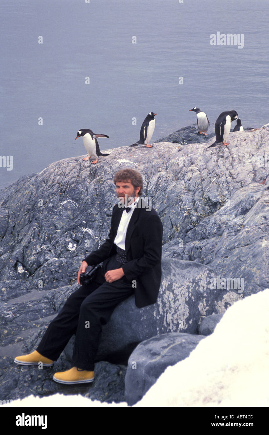 La Antártida hombre vestidos de smoking rodeado por pingüinos coloreados  como un pingüino Fotografía de stock - Alamy