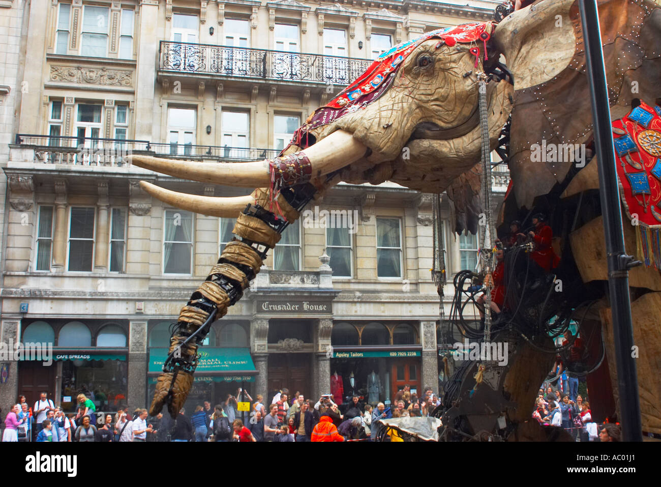 Los sultanes Elephant trompetas fuerte como hace su camino abajo de Pall Mall. Foto de stock