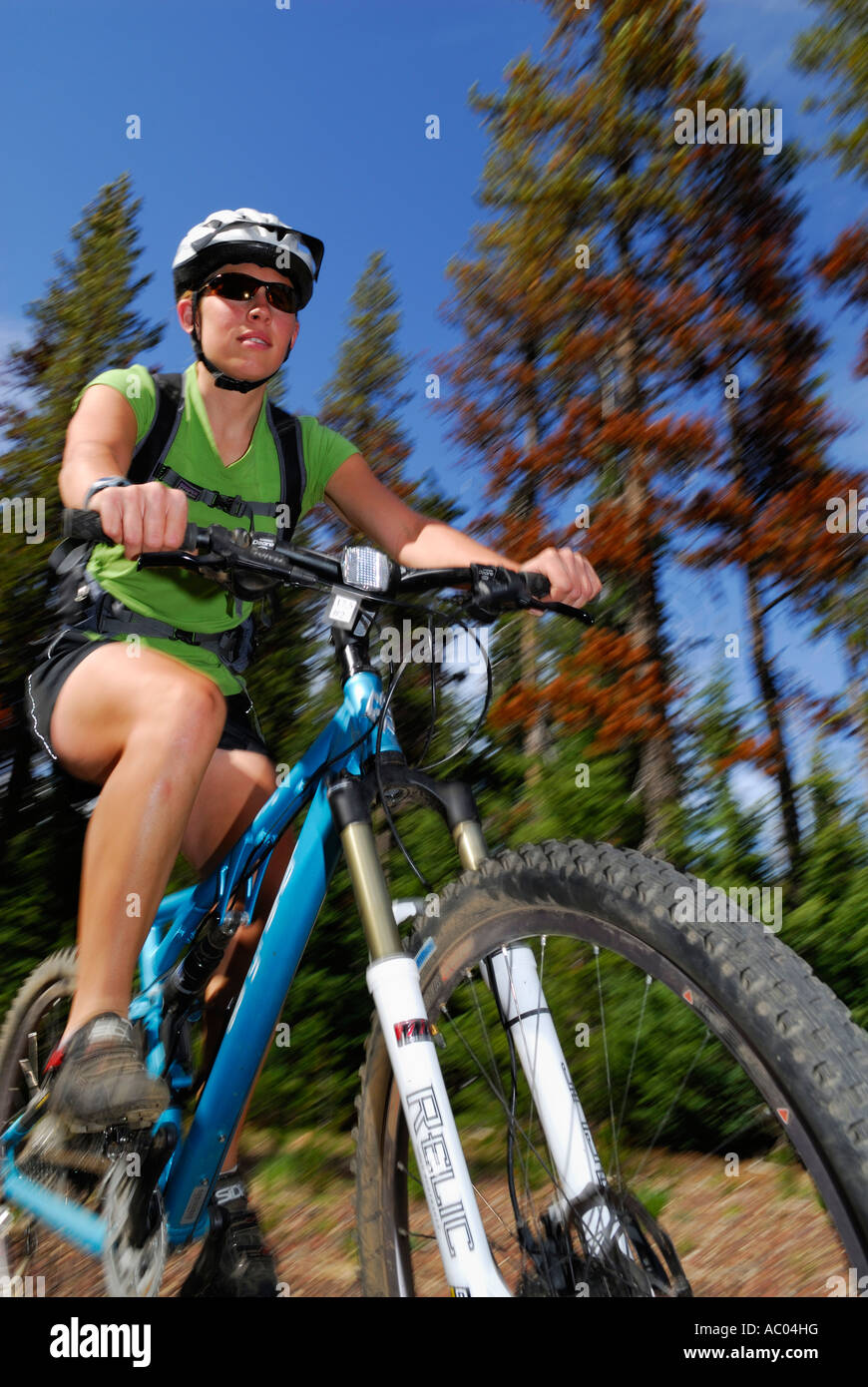 Ciclista de montaña femenino la aceleración a través de un sendero de la selva en sunshine Foto de stock
