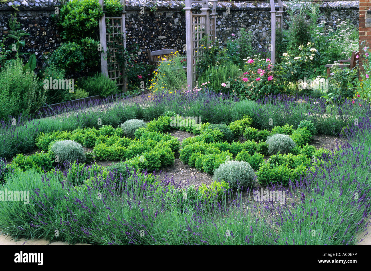Nudo de hierba de lavanda Jardín setos de boj enrejado Arcos Foto de stock