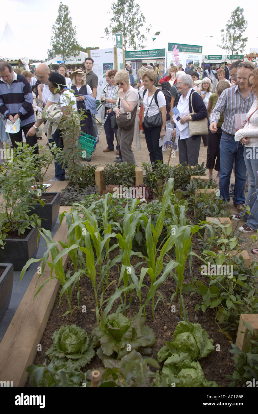 La gente en el Hampton Court Palace Flower Show 2005 ver BBC wartime huerta Foto de stock