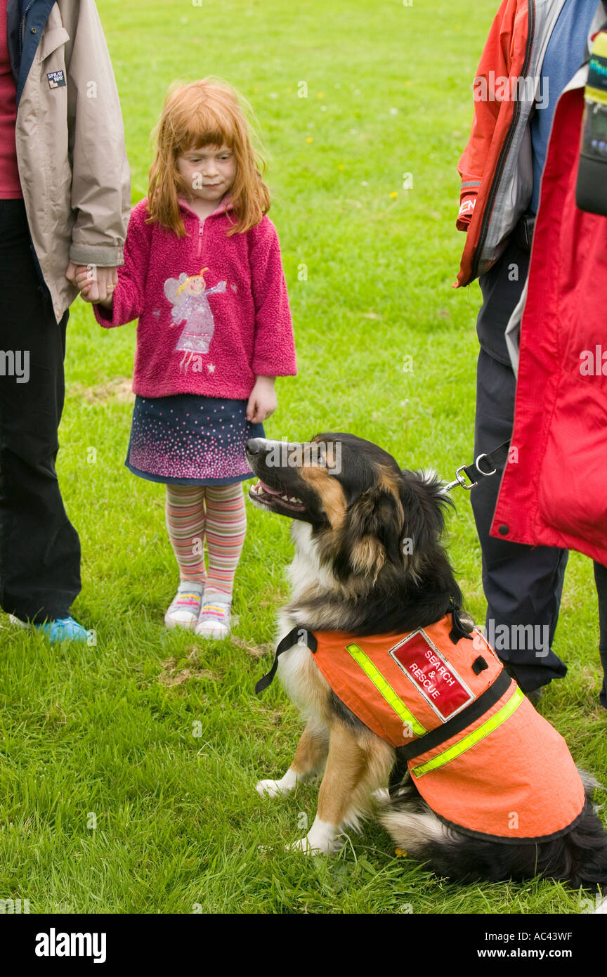 Una asociación de perros de búsqueda y rescate dog handler y perro  Fotografía de stock - Alamy