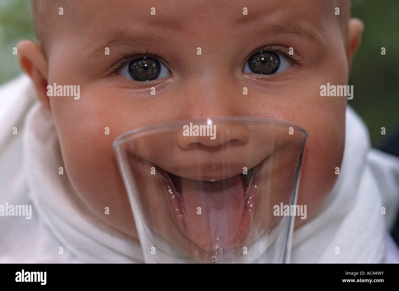 Un Bebe Lamer Un Vidrio Bebe Lechant Onu Verre Fotografia De Stock Alamy Un Bebe Lamer Un Vidrio Bebe Lechant Onu Verre Fotografia De Stock Alamy