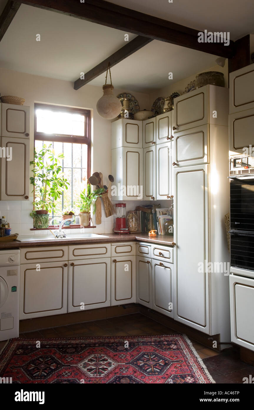 La cocina está equipada con unidades de almacenamiento, alfombra y ventana Foto de stock