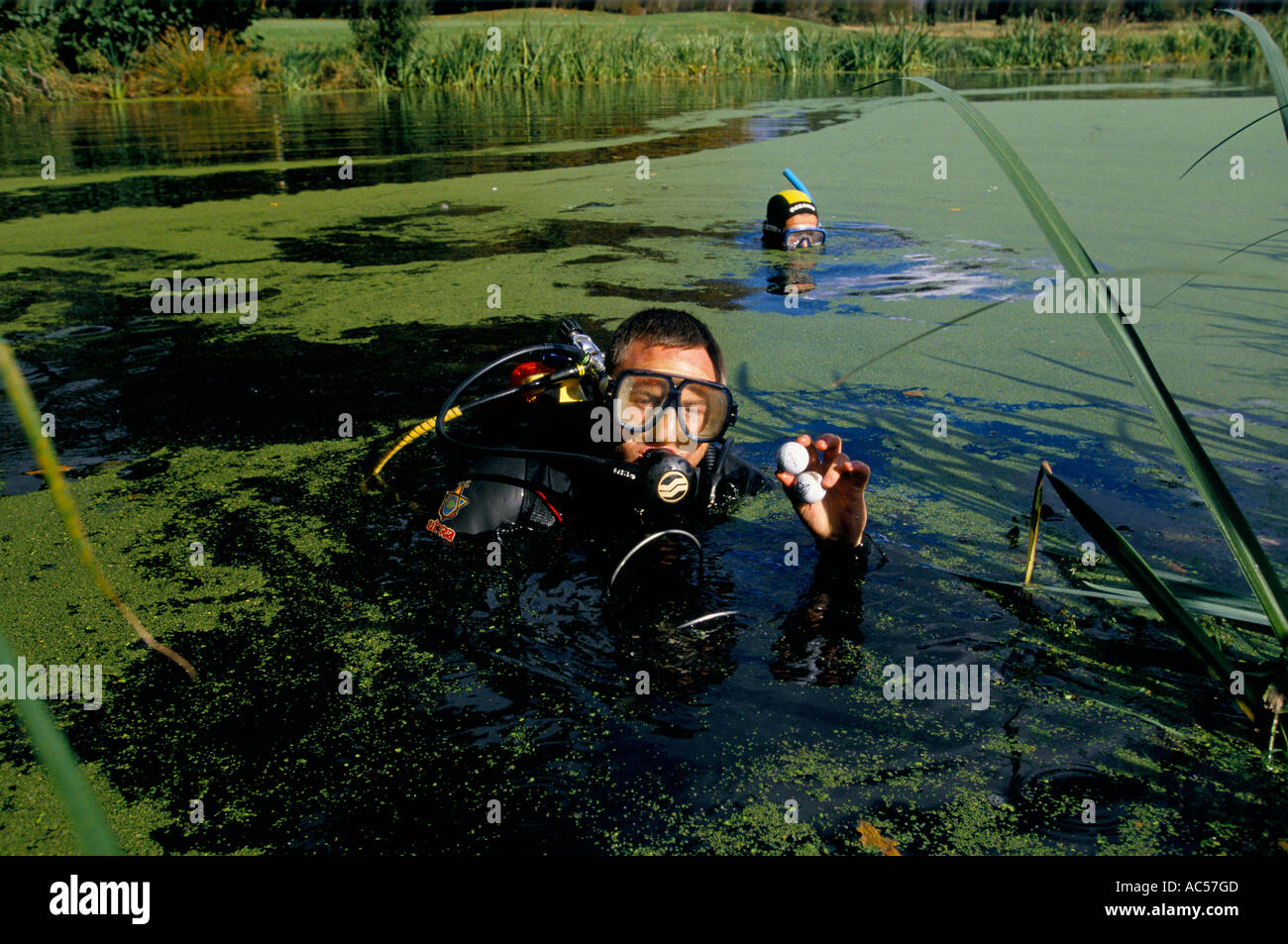 Golf ball diver fotografías e imágenes de alta resolución Alamy