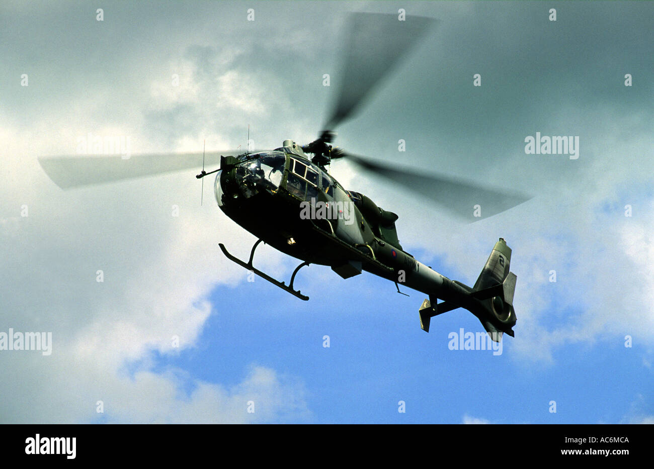 Army Air corp helicóptero Gazelle de RAF Whattisham, Suffolk, Reino Unido. Foto de stock