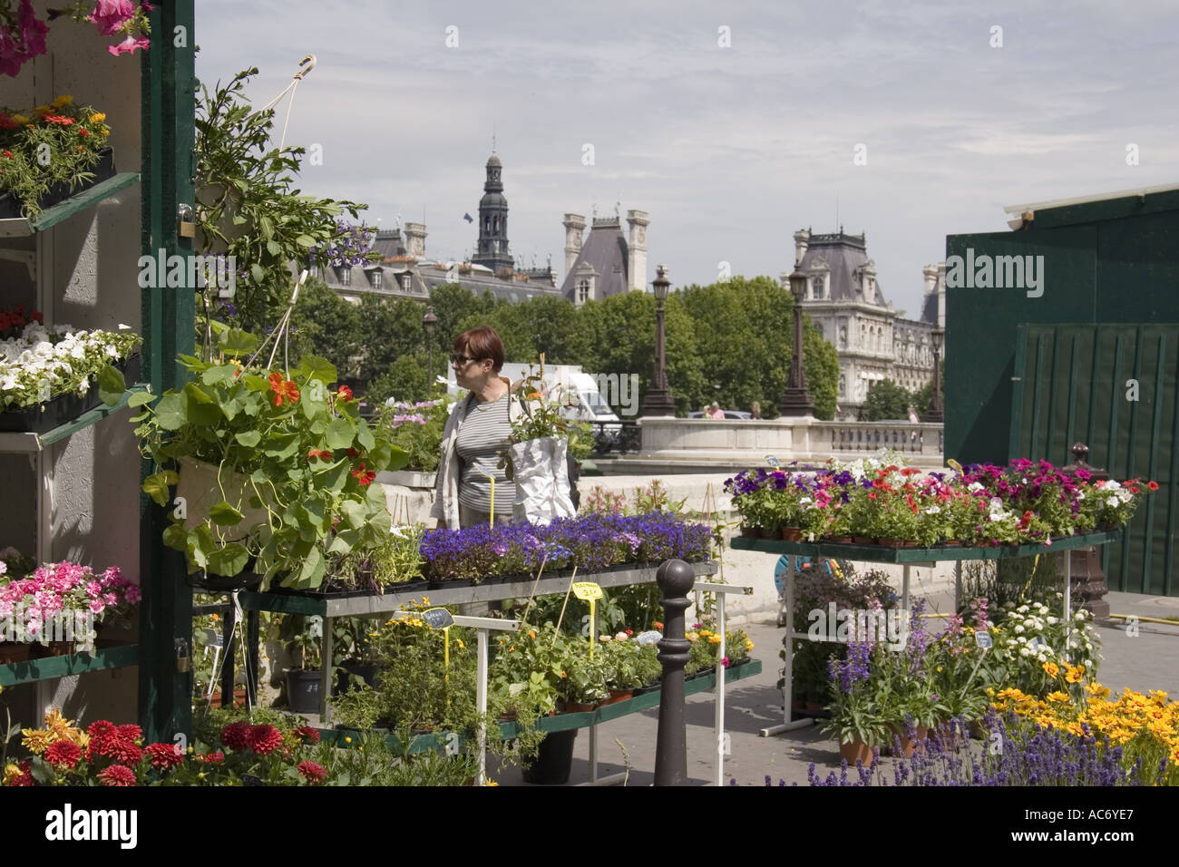 Mujer mira flores en Marche aux Fleurs Flower Market París Francia Foto de stock