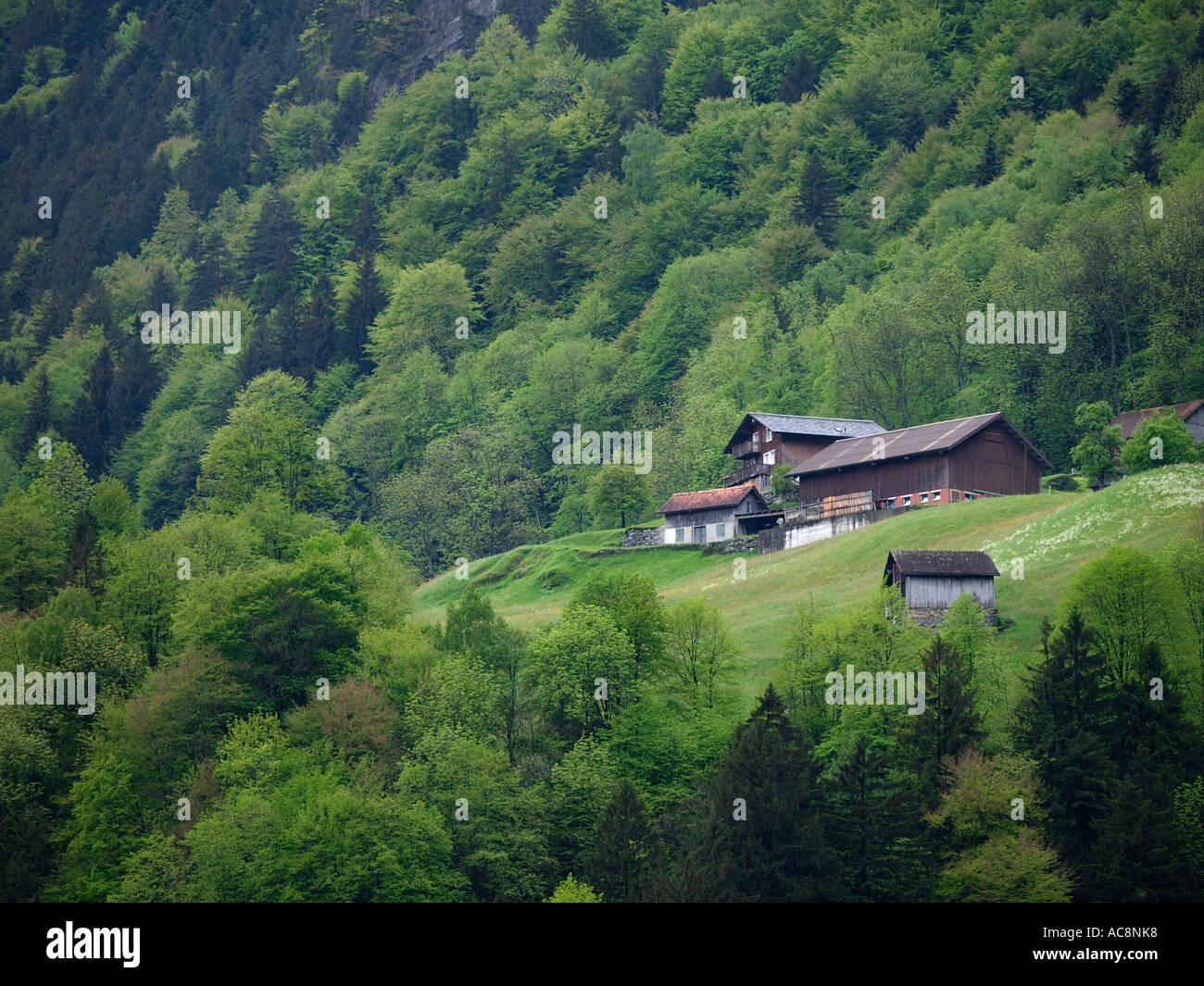 Chalet en una granja cerca de Green Mountain Belinzona Suiza Europa  Fotografía de stock - Alamy