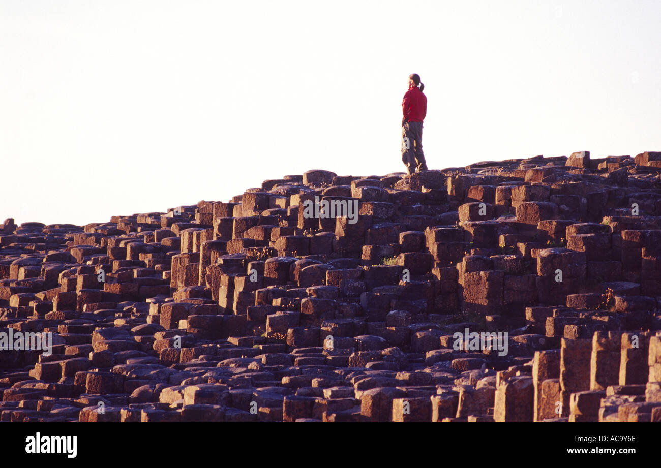 Persona en las columnas de basalto hexagonales de los Giants Causeway, Co Antrim, Irlanda del Norte Foto de stock