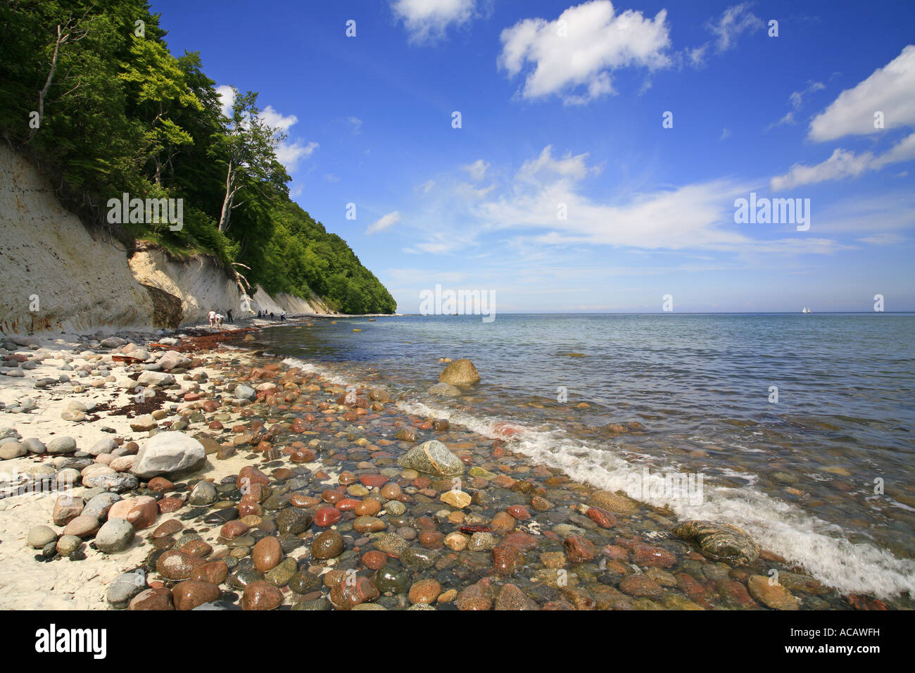 Playa de grava, Parque Nacional Jasmund, en la isla de Ruegen, Mecklemburgo-Pomerania Occidental, Alemania Foto de stock