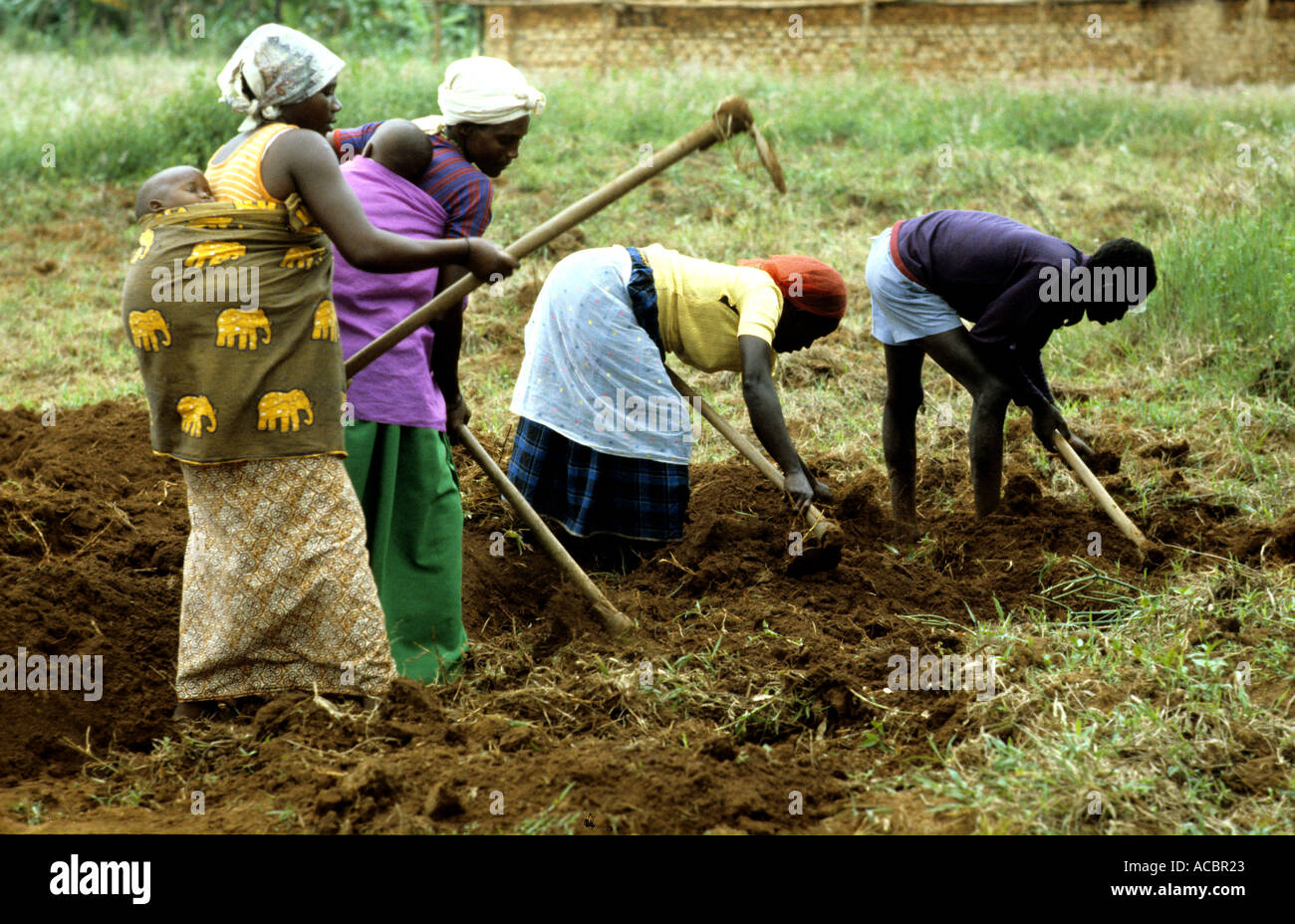 Las mujeres cultivan CON HERRAMIENTAS BÁSICAS EN RWANDA Foto de stock