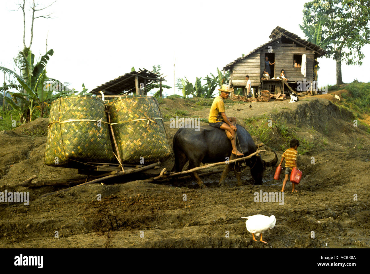 PHILLIPPINE agricultor con su familia en su hogar en MINDANO Foto de stock