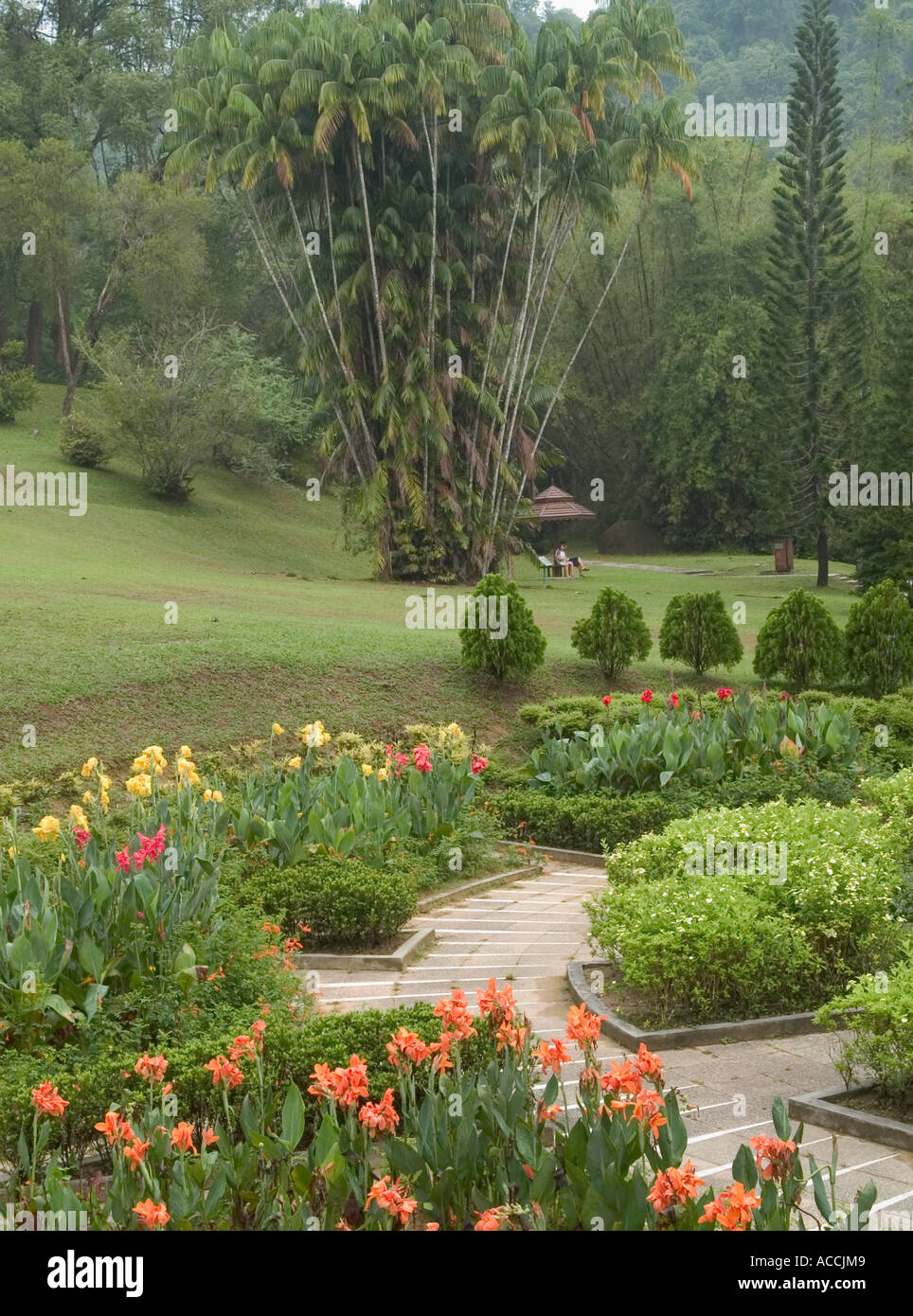 Vista de bordes florales y jardines botánicos, Penang Hill, Penang, Malasia, Foto de stock