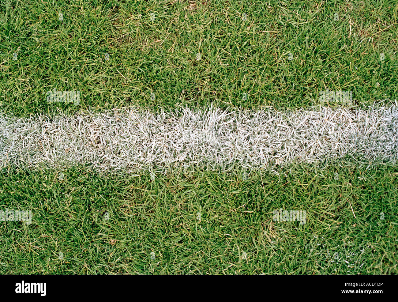 Línea de gol en un campo de fútbol. Foto de stock