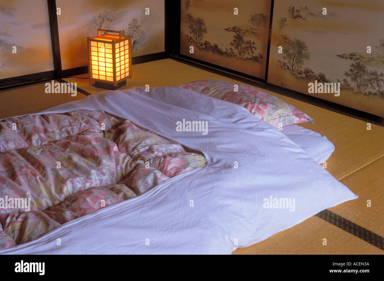 Nueva cama Japonesa - Tatami. - El Gato que Piensa