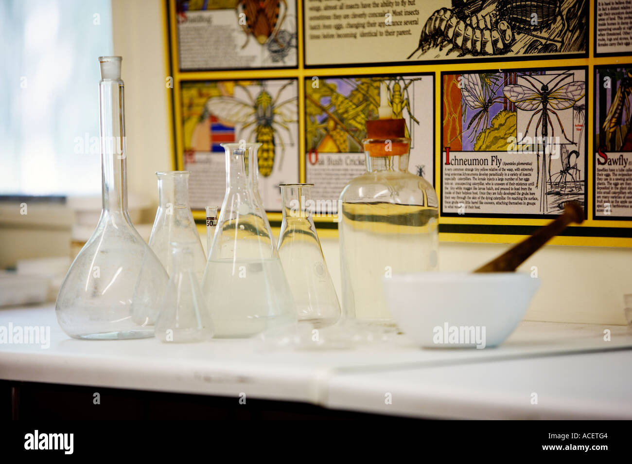Vasos de precipitados con mortero en un laboratorio de ciencia escolar Foto de stock