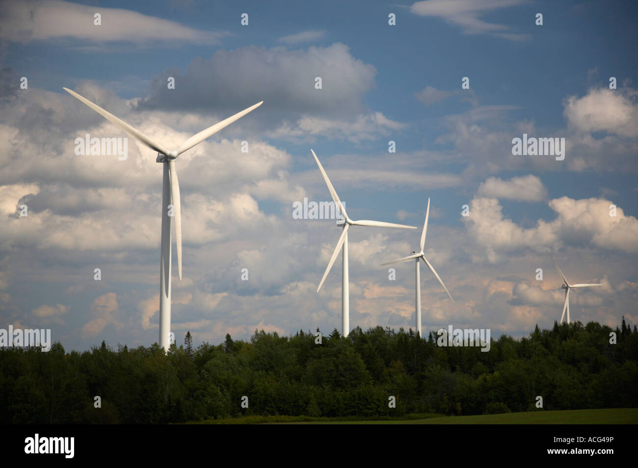 Molinos de viento o aerogeneradores en el Parque Eólico Maple Ridge en