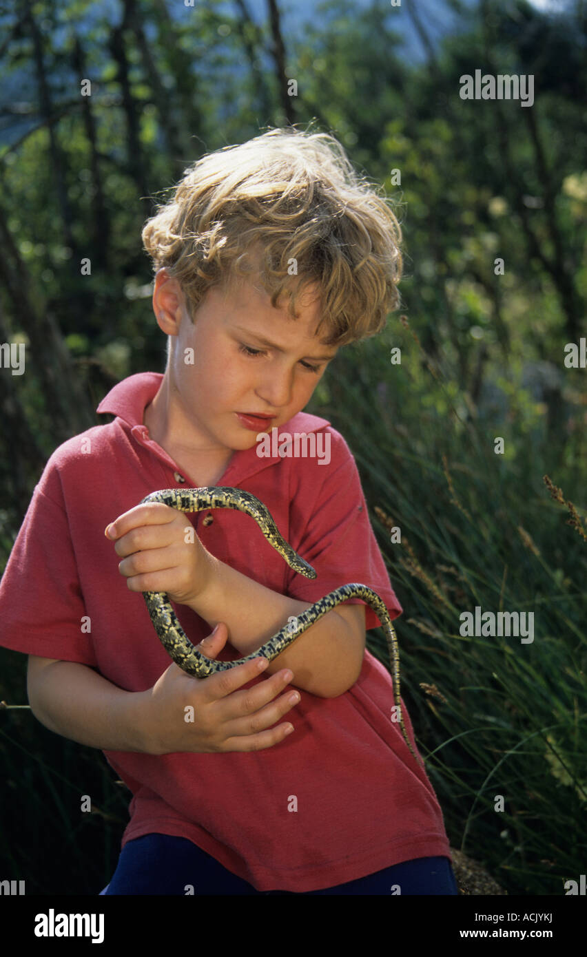 Chico mirando a Snake Natrix maura España modelo liberado Foto de stock