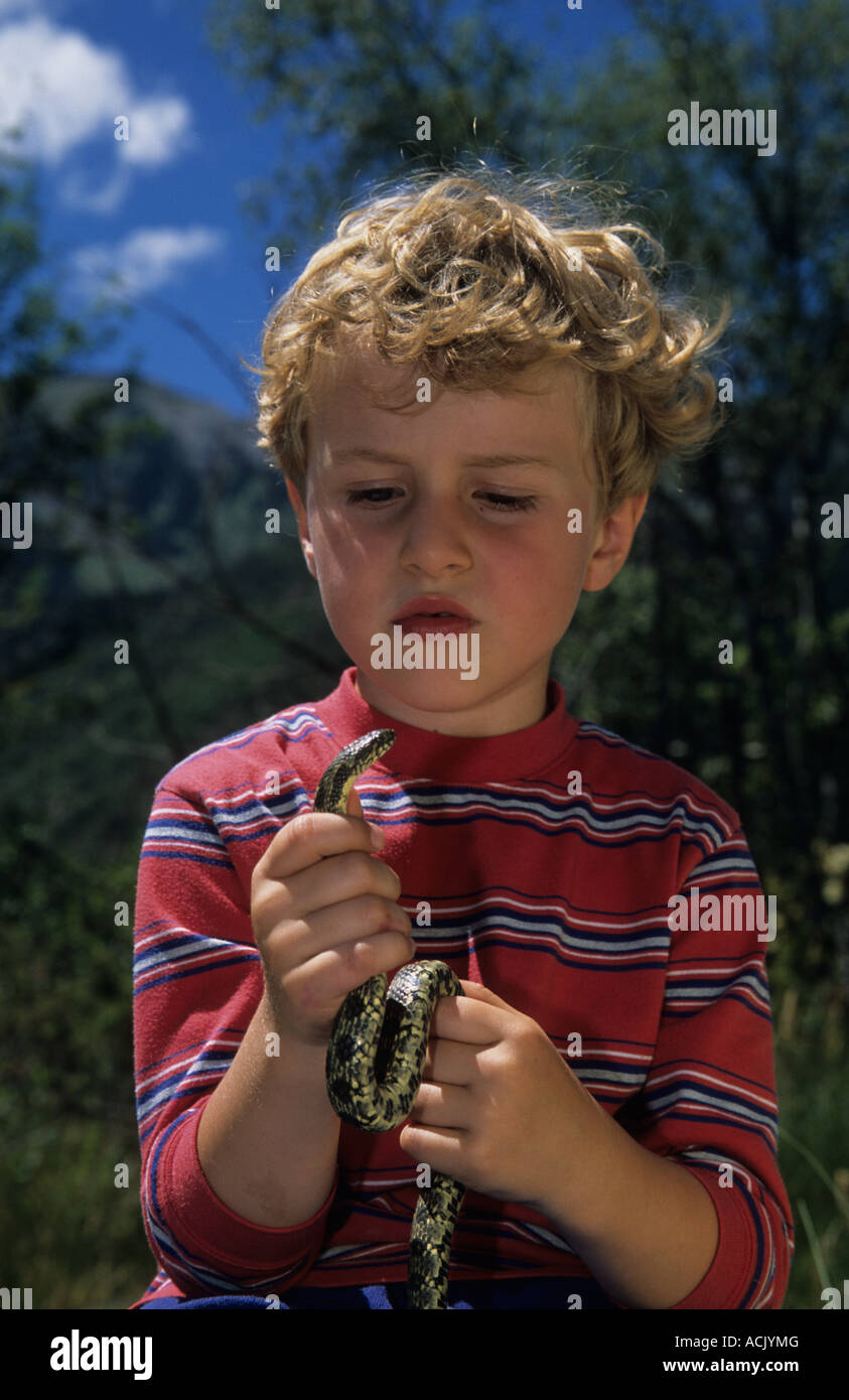 Chico mirando a Snake Natrix maura España Foto de stock