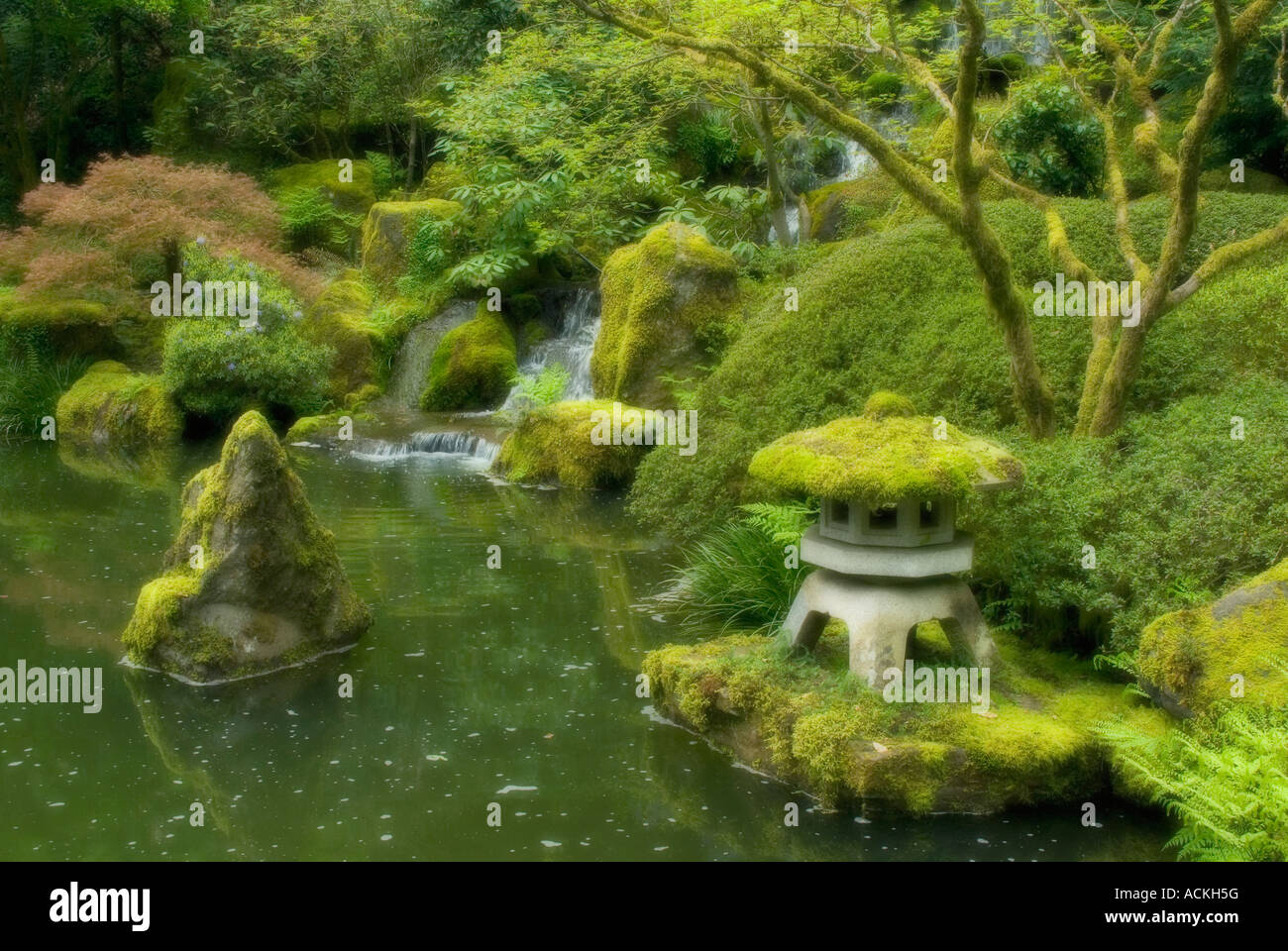 Portland, Oregon, USA, Jardín Japonés en primavera soft focus Foto de stock