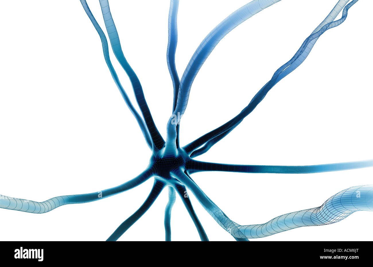 Neurona Foto de stock