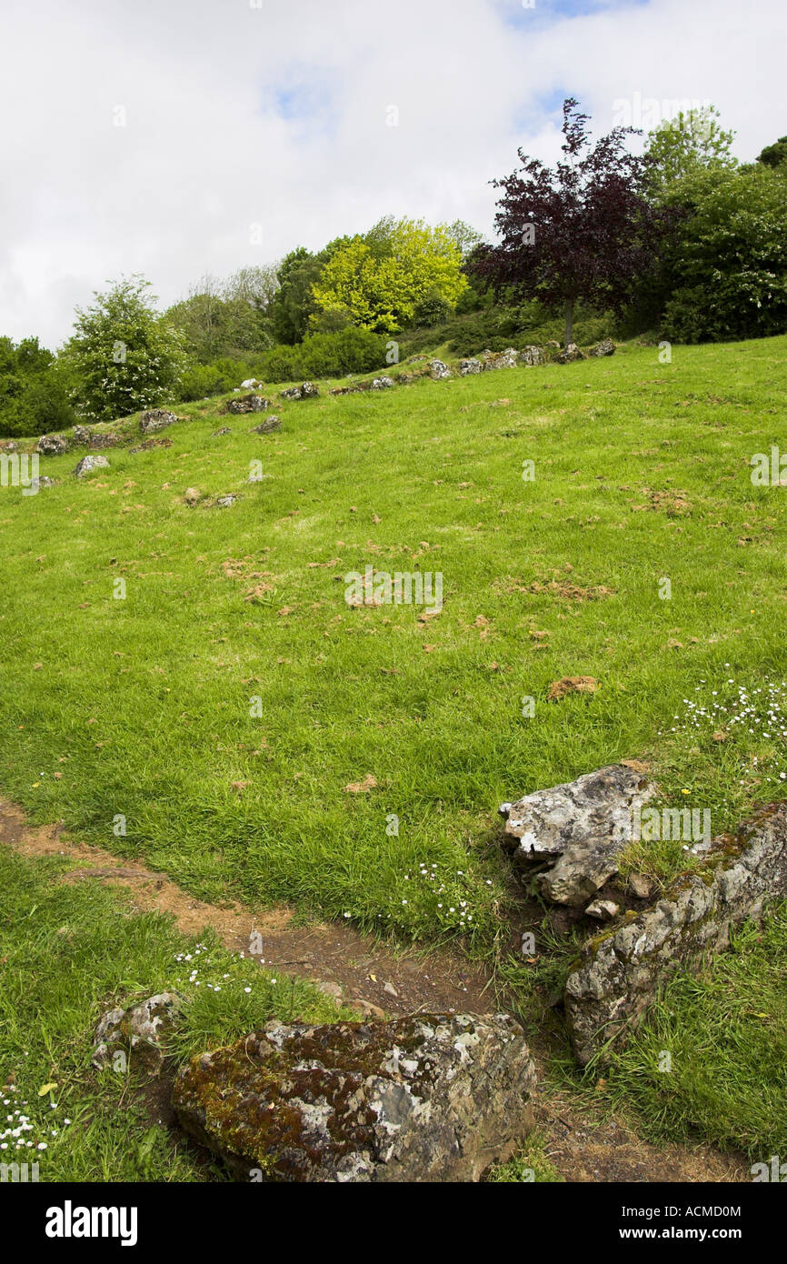 Los espectáculos los cimientos de una granja en el centro de la Edad de Piedra Lough Gur Bruff Co Limerick Irlanda Foto de stock