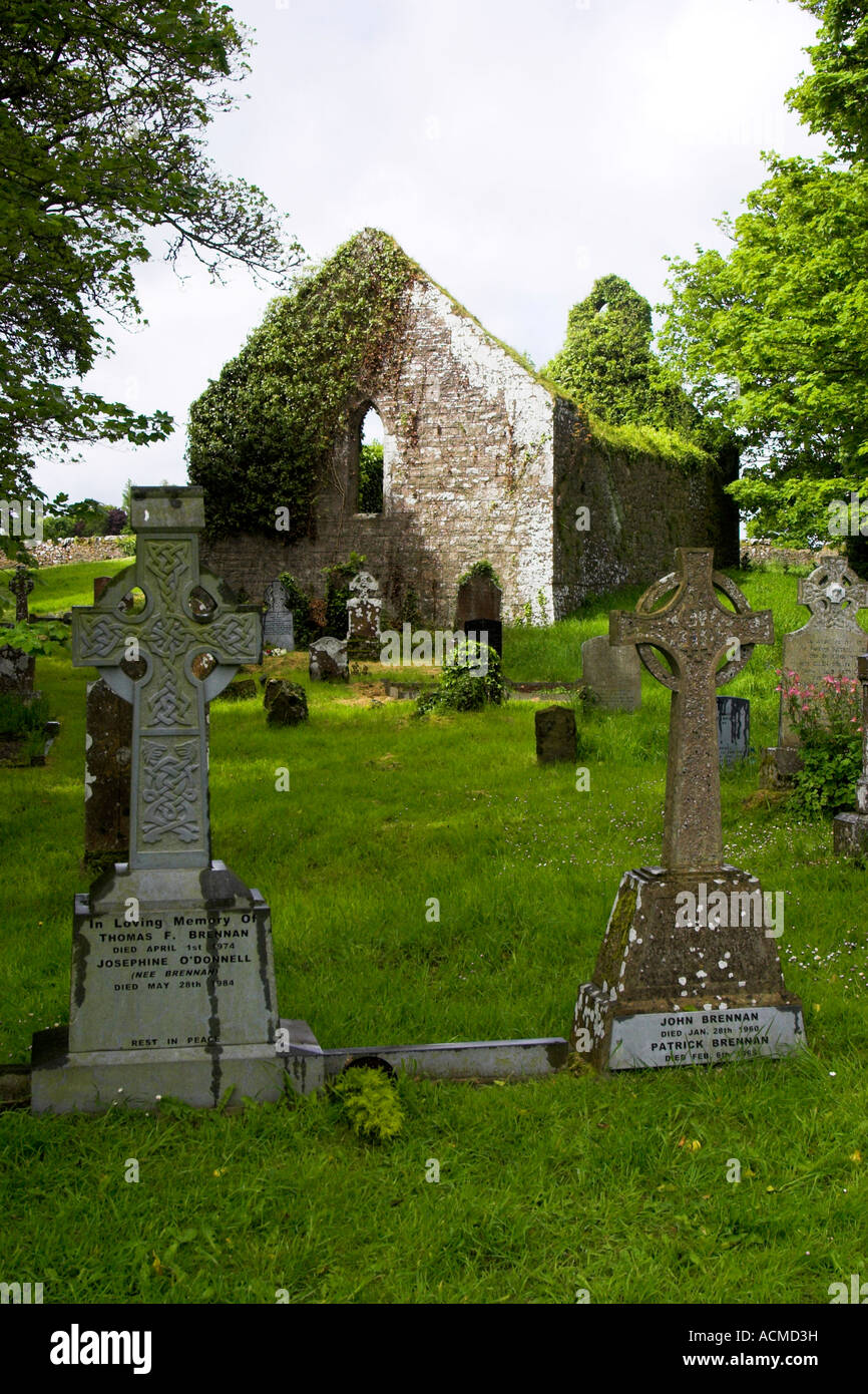 Las ruinas de la nueva iglesia de Lough Gur Bruff Co Limerick Irlanda Foto de stock