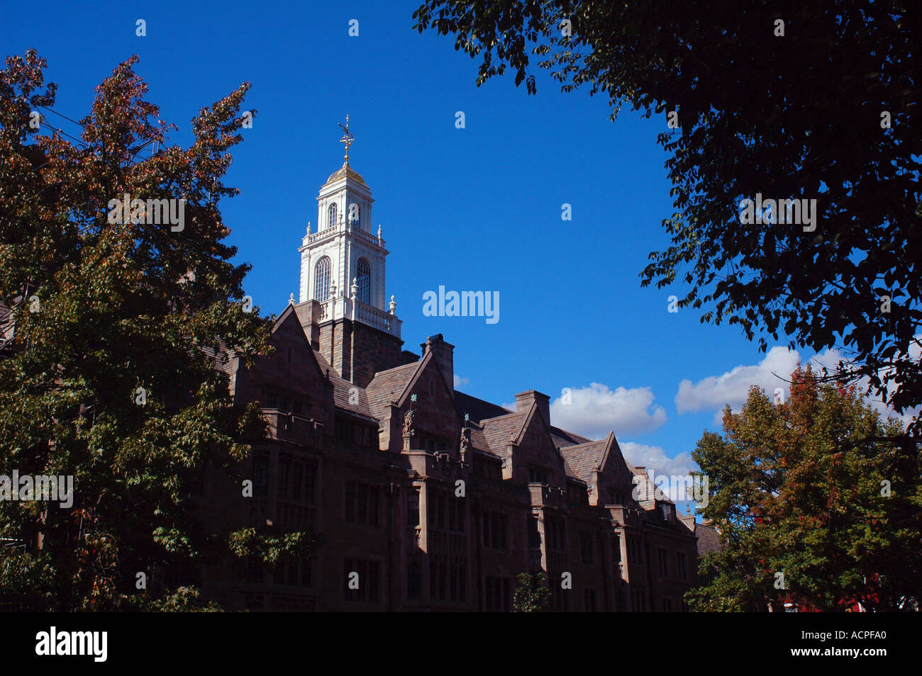 La Universidad de Yale en New Haven Connecticut Foto de stock