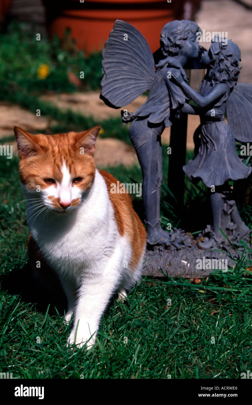 Gatito Blanco y jengibre en un jardín con besos chico y chica fairy estatua Foto de stock