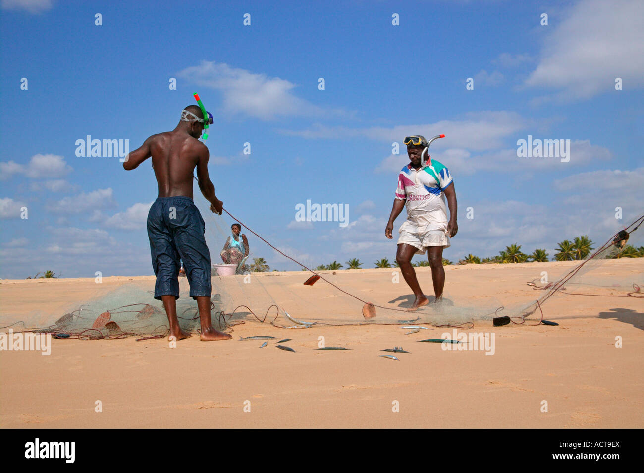 Los pescadores de inspeccionar sus redes para extraer pescado recién capturado Barra la provincia de Inhambane, Mozambique Foto de stock