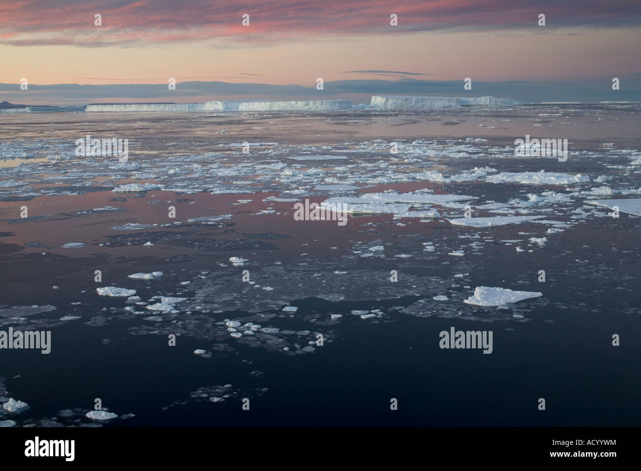La Antártida Erebus y terror del Golfo pans de hielo flotante en el Mar