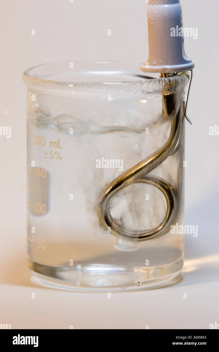 Vaso de agua hirviendo con calentador de inmersión Fotografía de stock -  Alamy