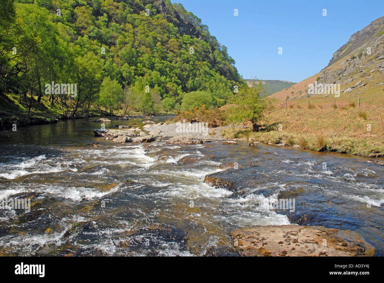 Río Towy en reserva RSPB Gwenffrwd-Dinas Foto de stock