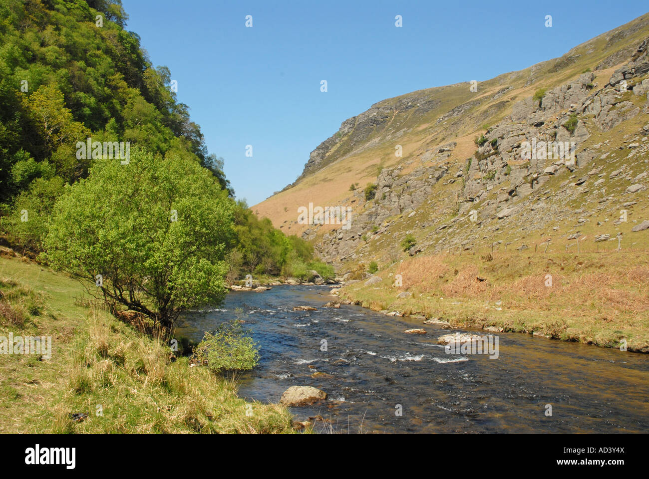 Río Towy en reserva RSPB Gwenffrwd-Dinas Foto de stock