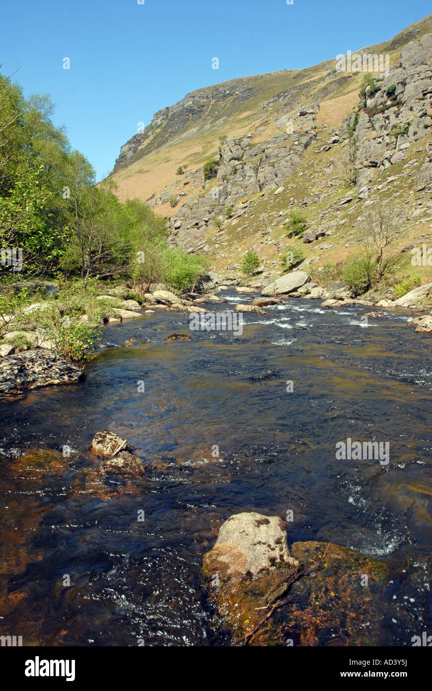 Río Towy en reserva RSPB Gwenffrwd-Dinas Foto de stock