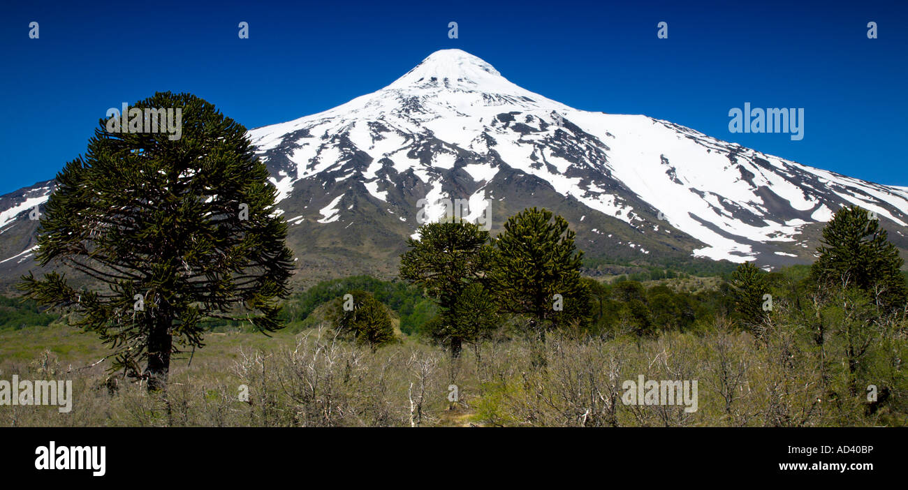 Volcán Lanín, Chile/frontera argentina, Parque Nacional Villarrica, distrito de Los Lagos de Chile Foto de stock